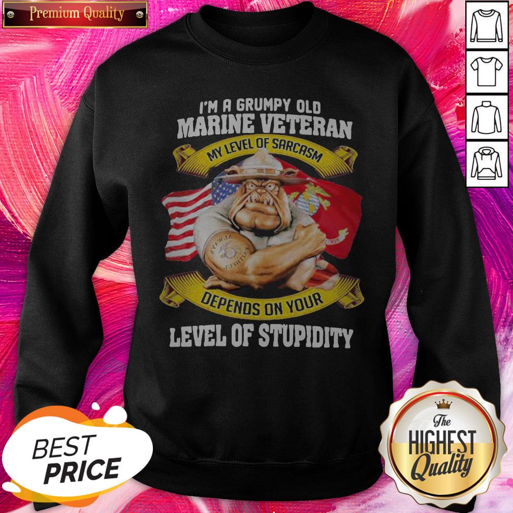 hot-im-a-grumpy-old-marine-veteran-my-level-of-sarcasm-depends-on-your-level-of-stupidity-sweatshirt.jpg