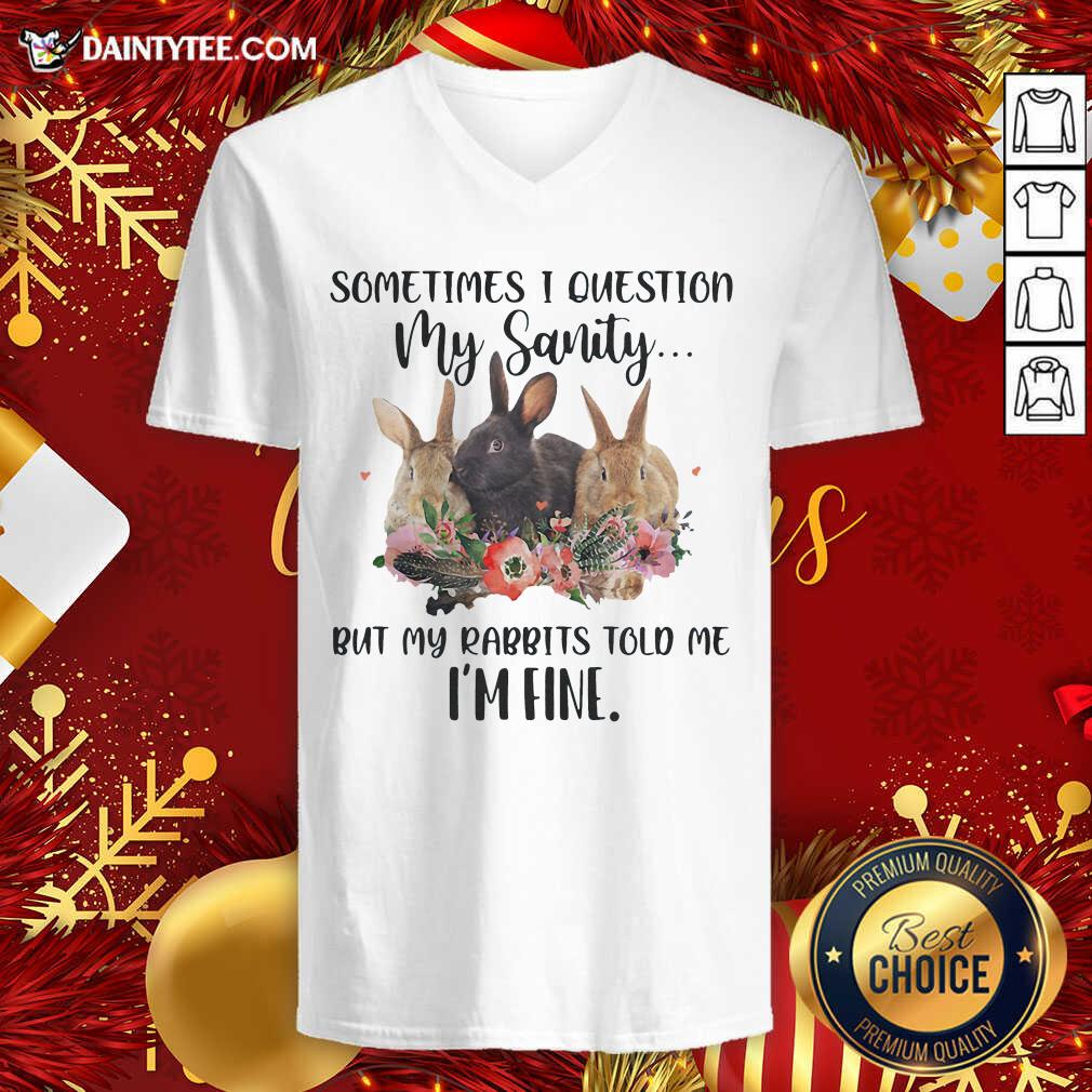 hot-rabbit-sometimes-i-question-my-sanity-but-my-rabbits-told-me-im-fine-v-neck.jpg