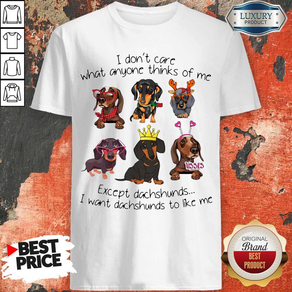 I Don't Care What Anyone Thinks Of Me Except Dachshunds Shirt