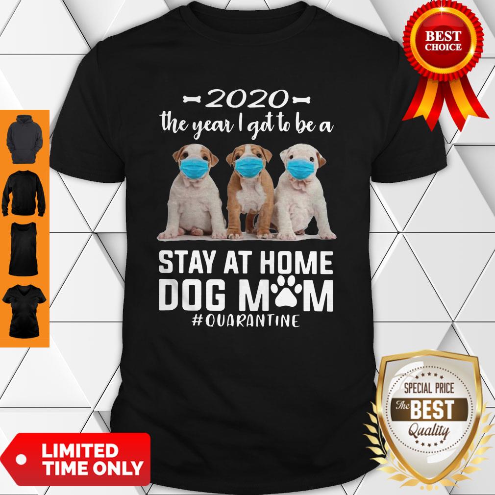 Good 2020 The Year I Got To Be A Stay At Home Pit Bull Dog Mom Quarantine Shirt