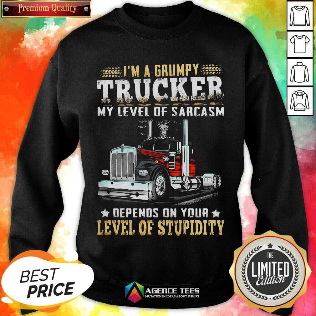 I Am A Grumpy Trucker 5 Level Of Stupidity Shirt