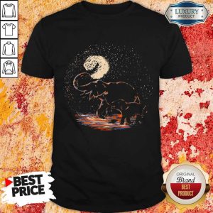Nice Elephant Mom And Baby Shirt
