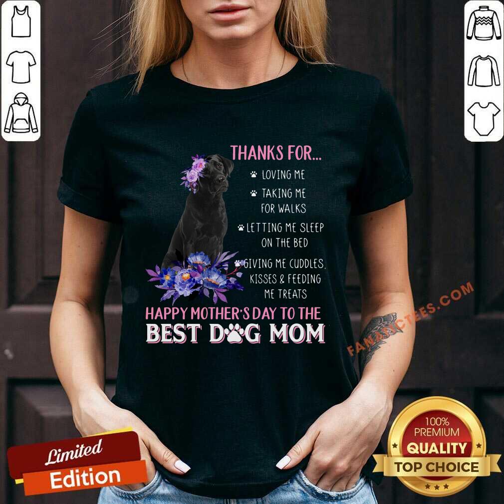 Labrador Thanks For Loving Me Taking Me For Walks Shirt