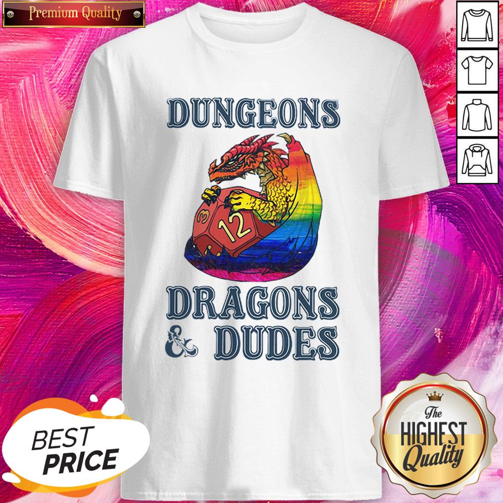LGBT Dungeons Dragons Dudes Perfect Top Official Nice Shirt