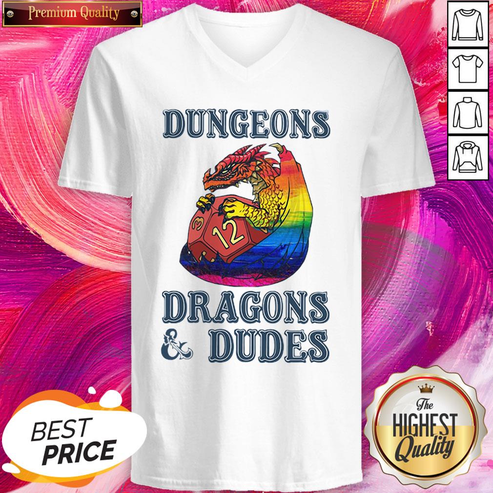 LGBT Dungeons Dragons Dudes Perfect Top Official Nice Shirt
