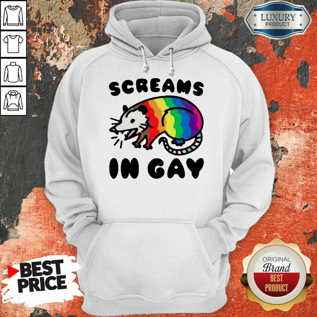 Lgbt Opossum Screams In Gay Shirt