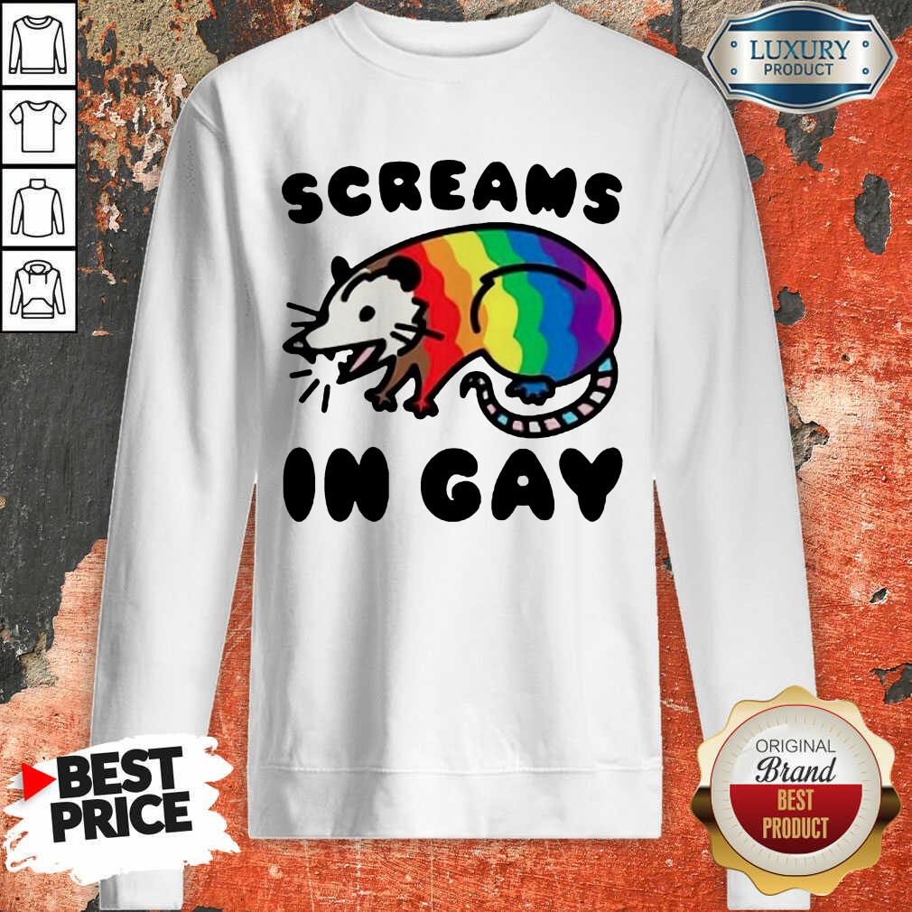 Lgbt Opossum Screams In Gay Shirt