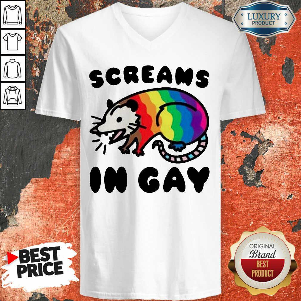Lgbt Opossum Screams In Gay Shirt
