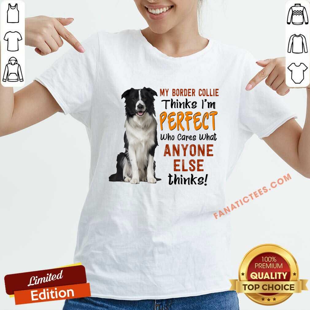 My Border Collie Thinks I'm Perfect Shirt