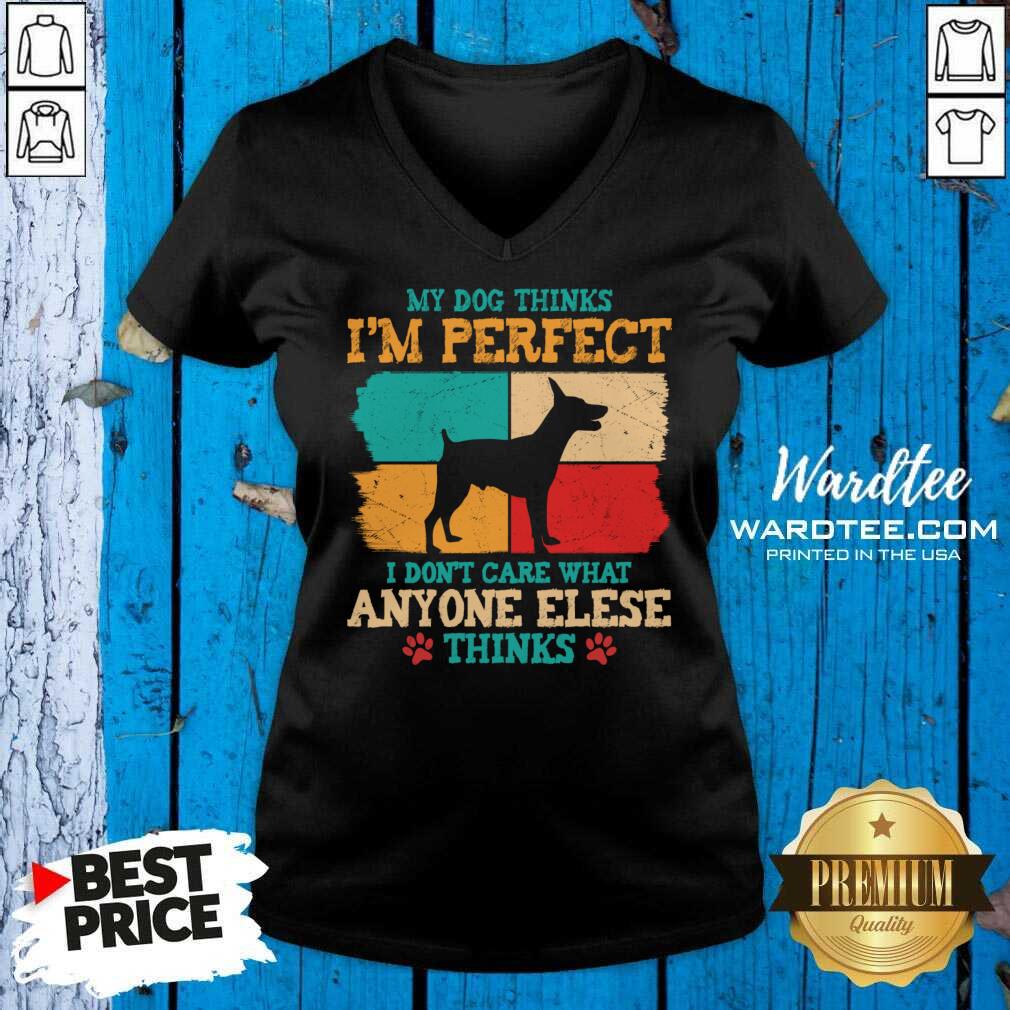 My Dog Thinks I'm Perfect I Don't Care That Anyone Elese Thinks Shirt
