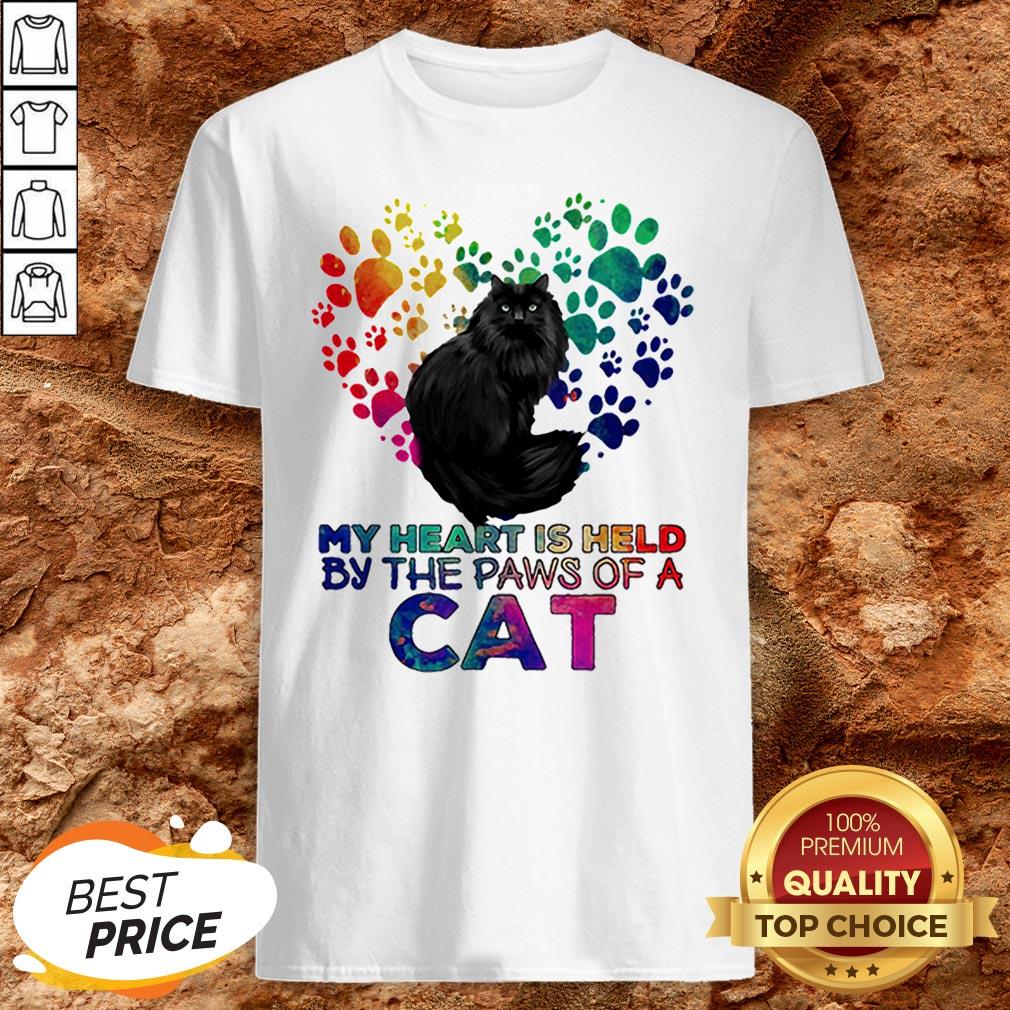 My Heart Is Held By The Paws Of A Cat LGBT Shirt