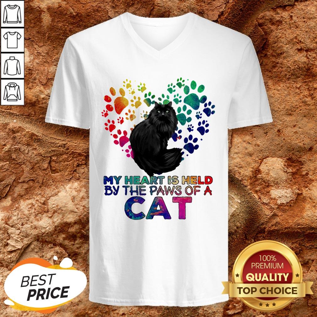 My Heart Is Held By The Paws Of A Cat LGBT Shirt