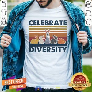 Original Celebrate Diversity Vintage Shirt