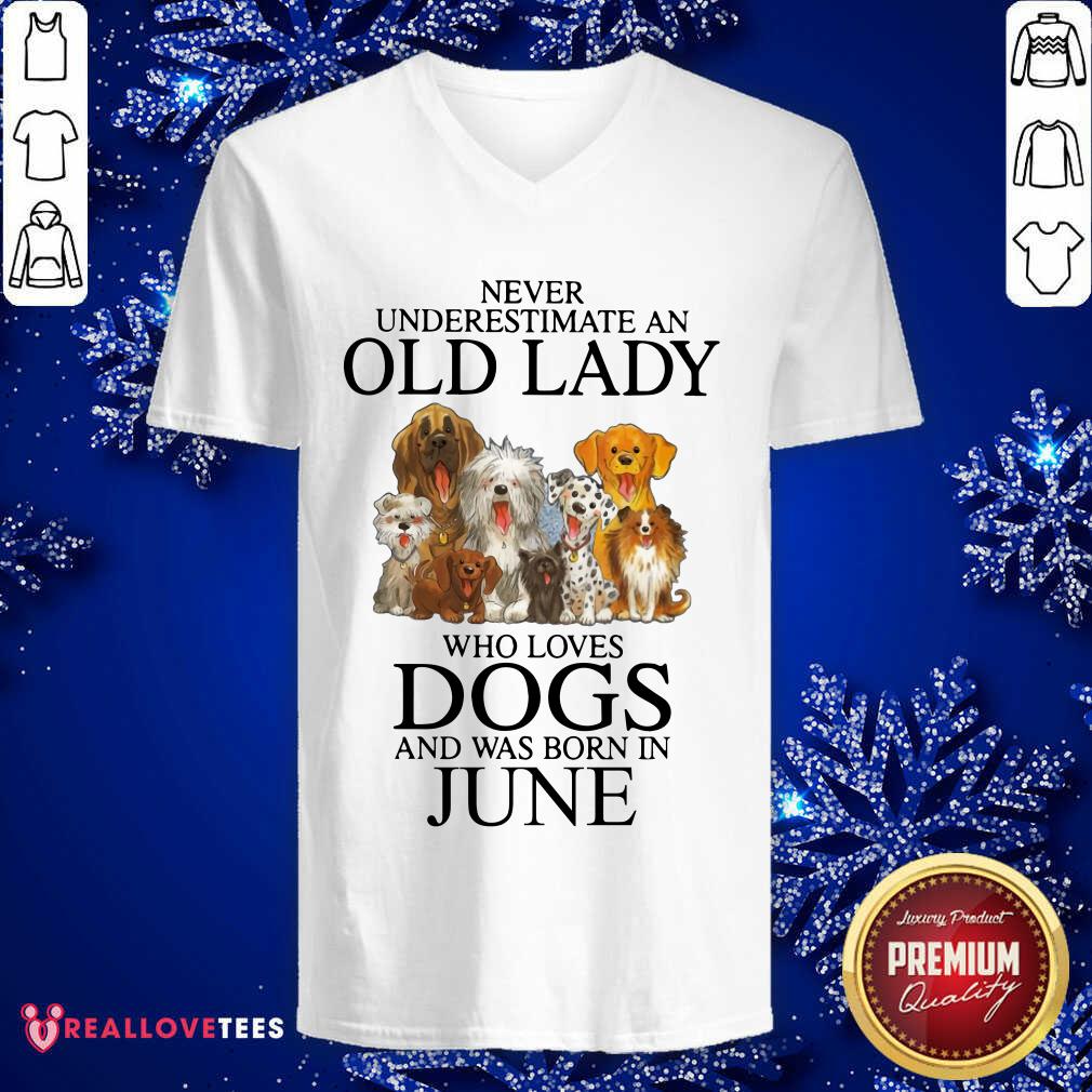 Never Underestimate An Old Lady Who Loves Dogs In June Shirt