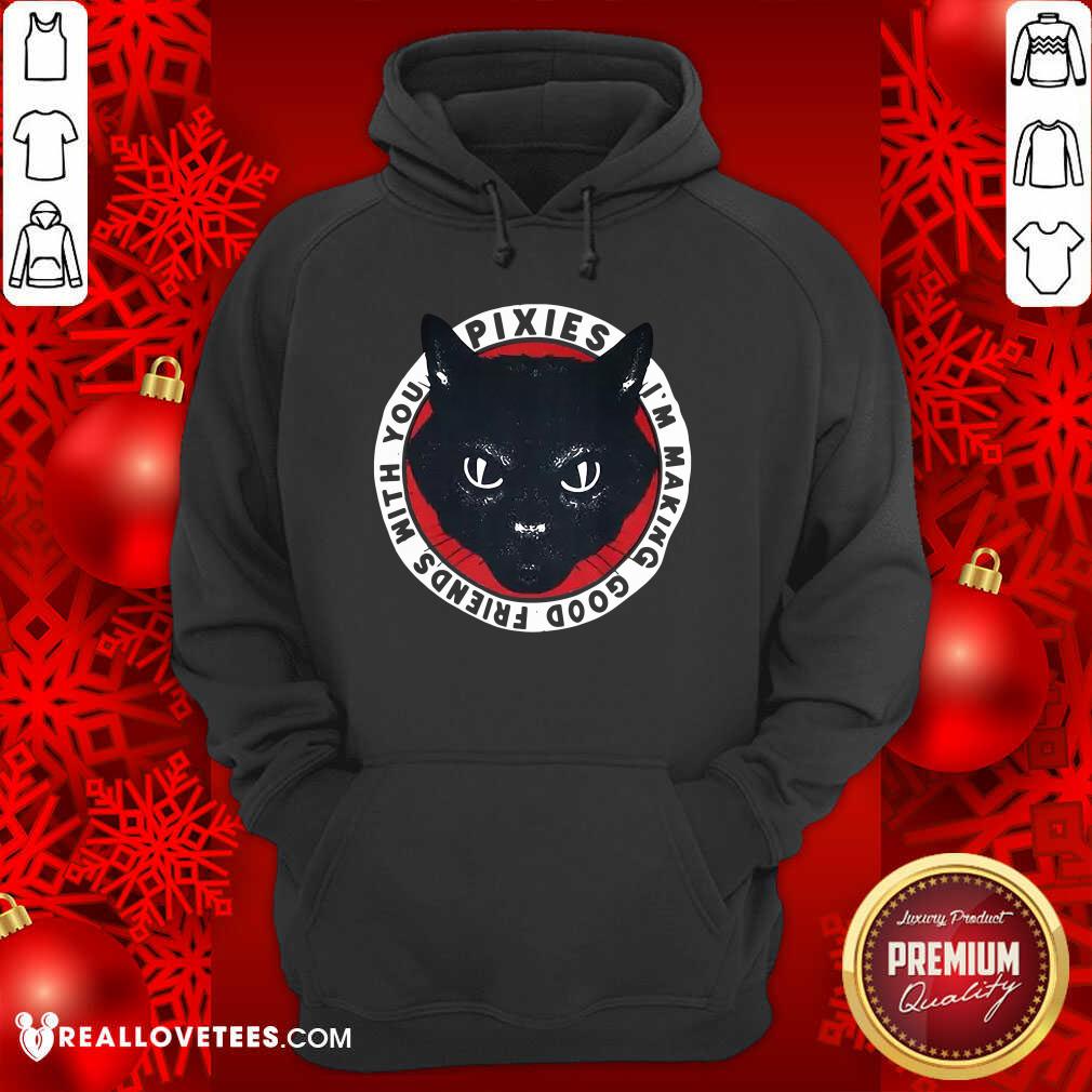 Nice Black Cat Pixies I’m Making Good Friends With You Shirt