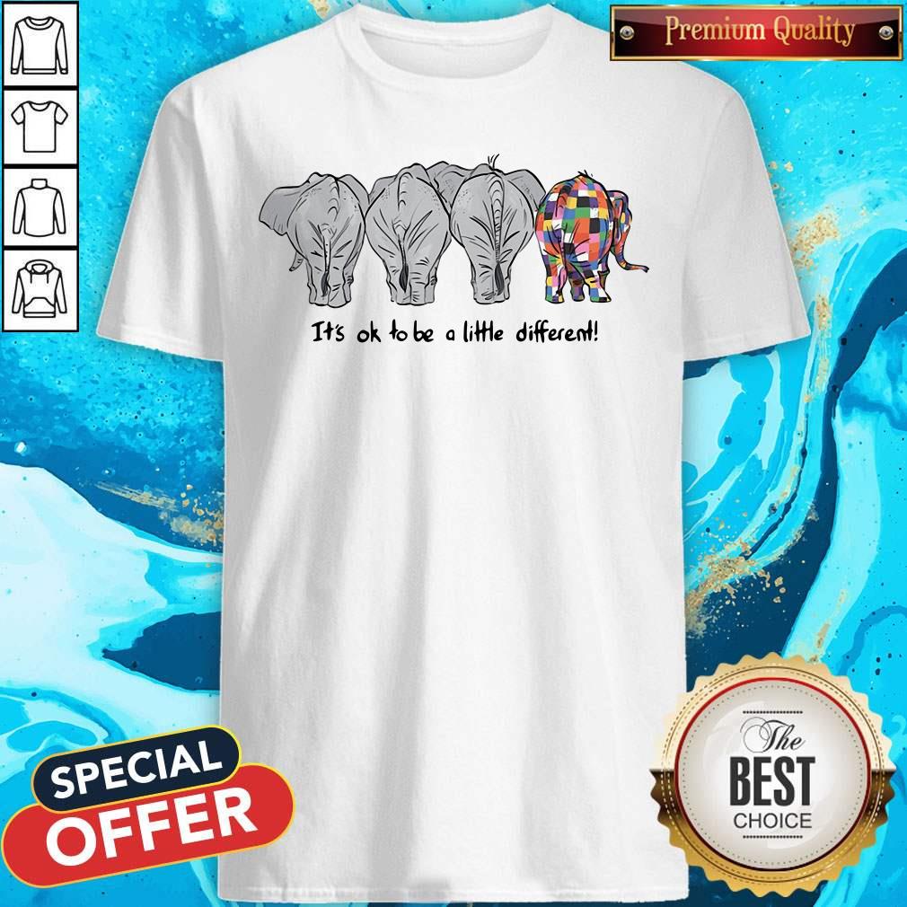 Nice Elephants Autism It’s Ok To Be A Little Different Shirt