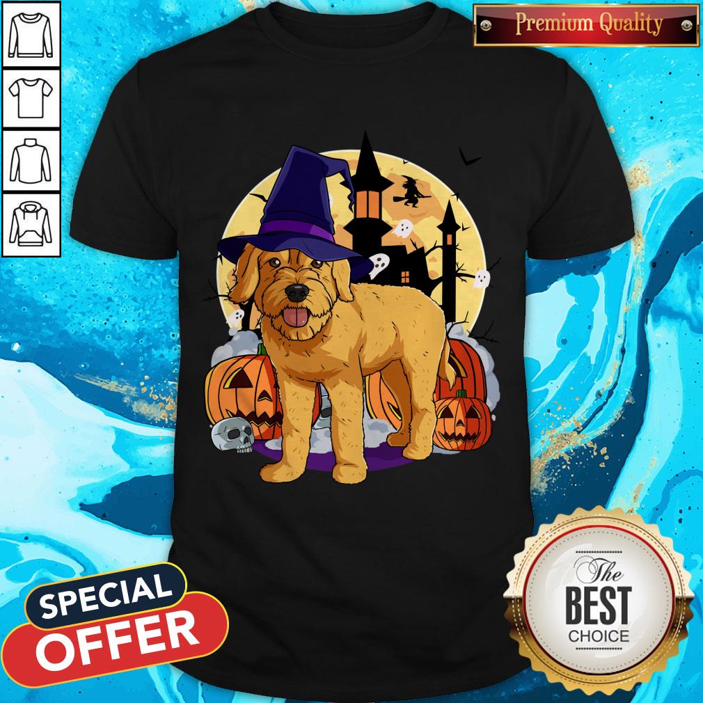 Nice Halloween Goldendoodle Pumpkin Witch Shirt