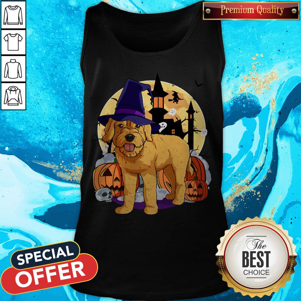 Nice Halloween Goldendoodle Pumpkin Witch Shirt