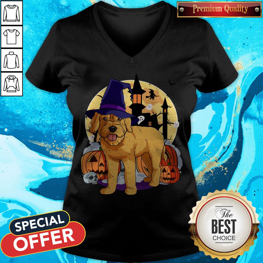 Nice Halloween Goldendoodle Pumpkin Witch Shirt