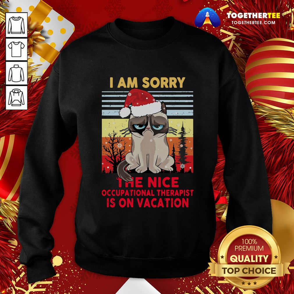 Nice I Am Sorry The Nice Occupational Therapist Is On Vacation Shirt