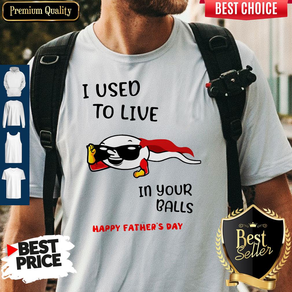 Nice I Used To Live In Your Balls Happy Fathers Day Shirt