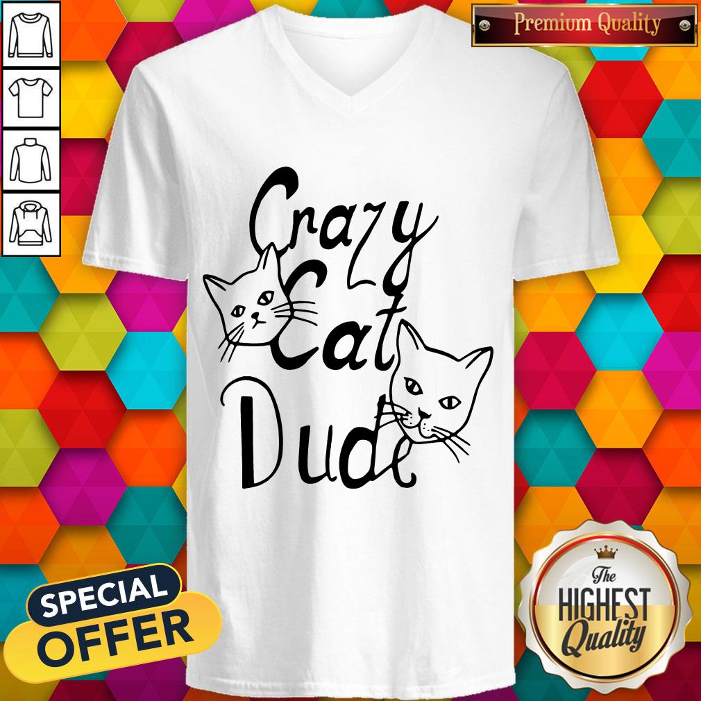 nice-joetshirts-crazy-cat-dude-v-neck.jpg