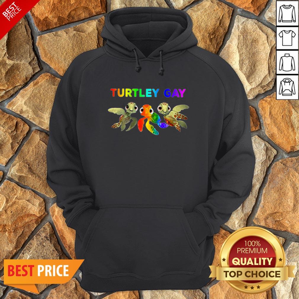 Nice LGBT Turtley Gay LGBT Month Shirt