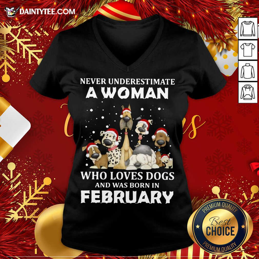 nice-never-underestimate-a-woman-who-loves-dogs-and-was-born-in-february-christmas-v-neck.jpg