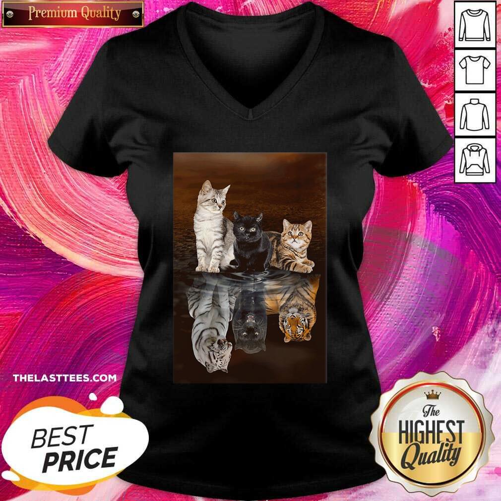 Nice Three Cat Tiger Reflections 5d Diamond Diy Shirt