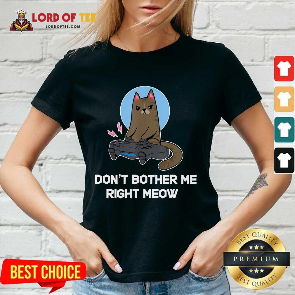 Official Do Not Bother Me Right Cat Shirt