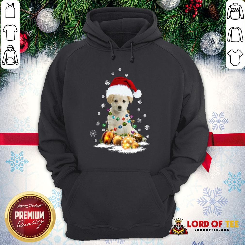 Official Dogs Merry Christmas Ugly Shirt