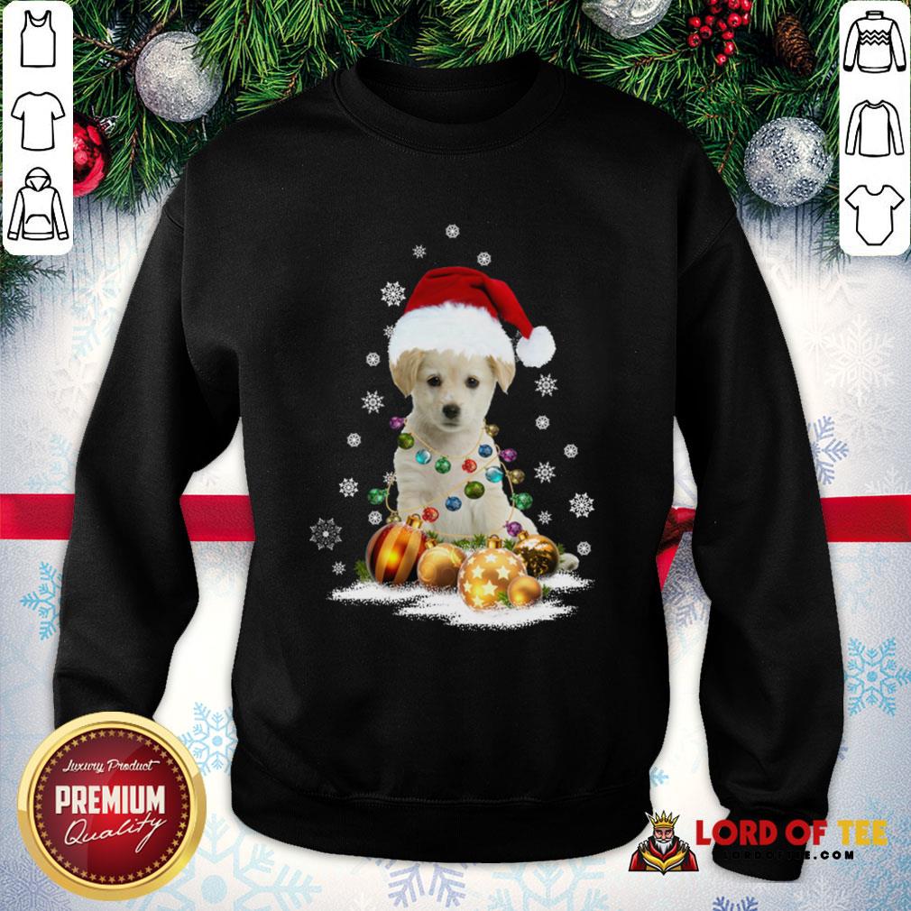 Official Dogs Merry Christmas Ugly Shirt