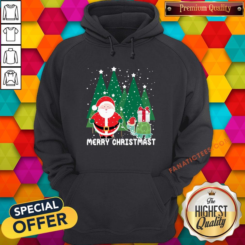 official-santa-and-turtles-merry-christmas-hoodie.jpg