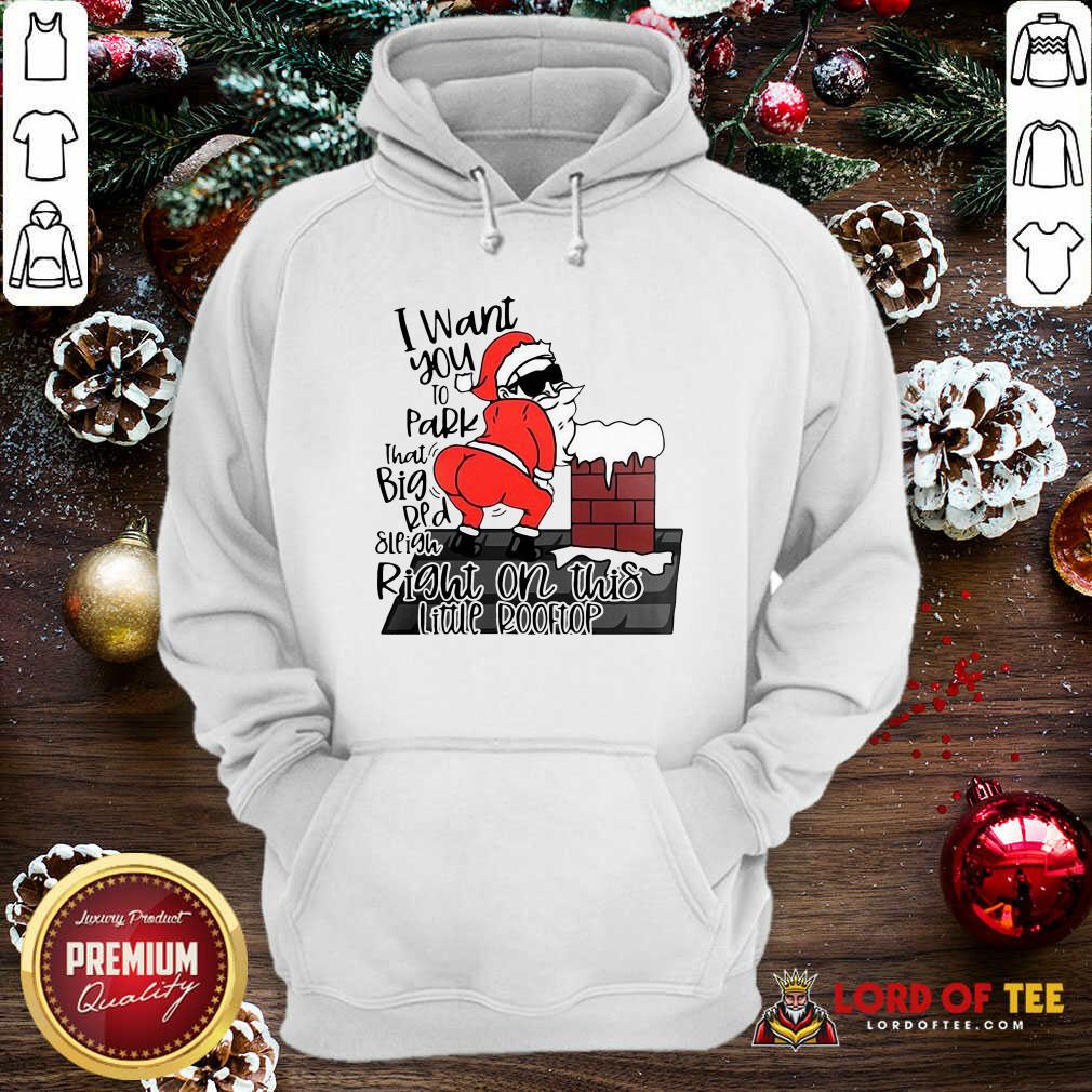 original-santa-claus-i-want-you-to-park-that-big-red-and-light-right-ohoodie.jpg