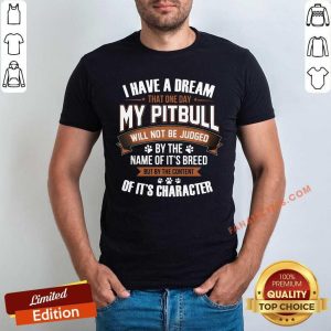 I Have A Dream That One Day My Pitbull Will Not Be Judged Shirt