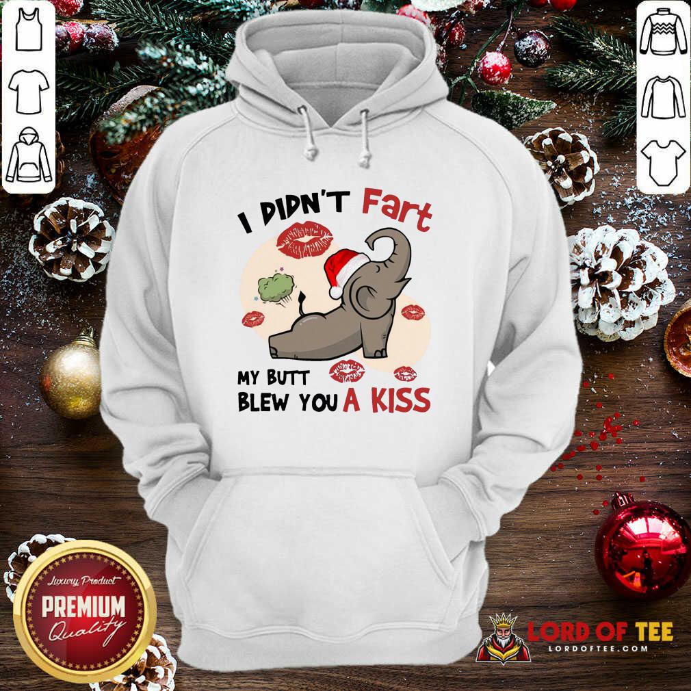 perfect-baby-elephant-santa-i-didnt-fart-my-butt-blew-you-a-kiss-merry-christmas-hoodie.jpg