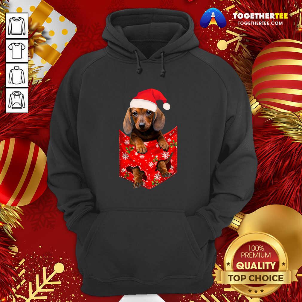 Perfect Daschund Santa Christmas 2020 Shirt