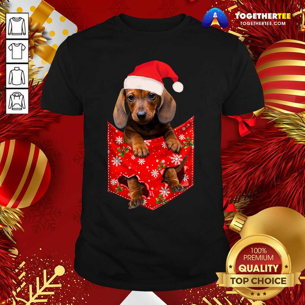 Perfect Daschund Santa Christmas 2020 Shirt