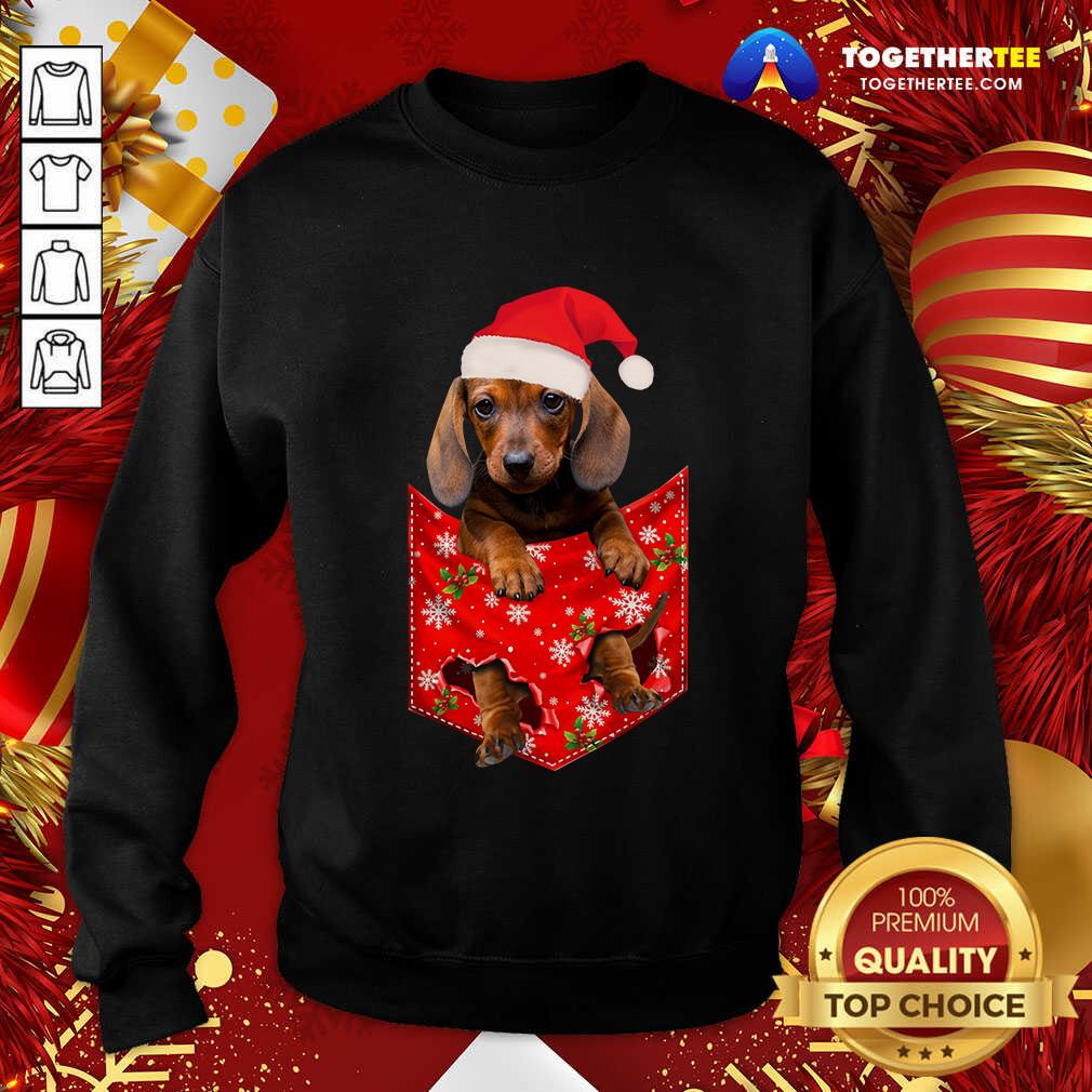 Perfect Daschund Santa Christmas 2020 Shirt