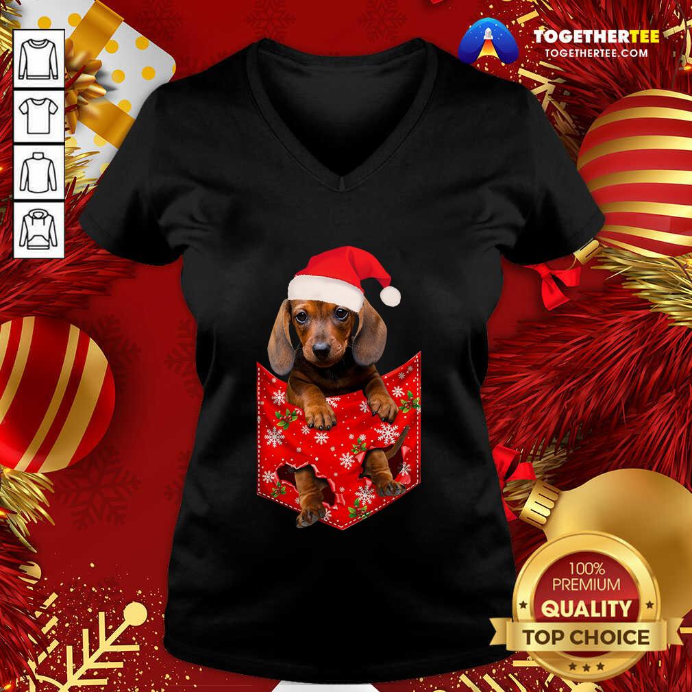 Perfect Daschund Santa Christmas 2020 Shirt