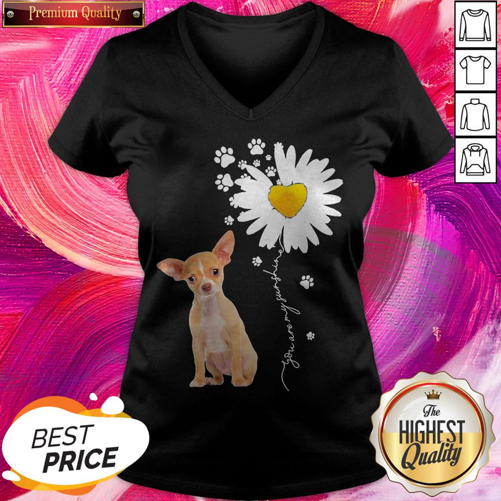 Perfect I Like Chihuahua Chamomile Shirt