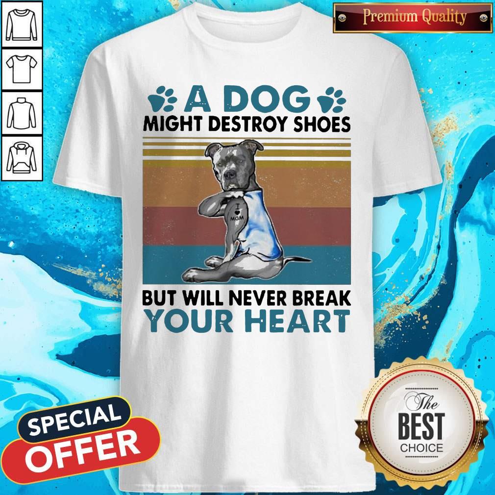 pit-bull-a-dog-might-destroy-shoes-but-will-never-break-your-heart-vintage-shirt.jpg