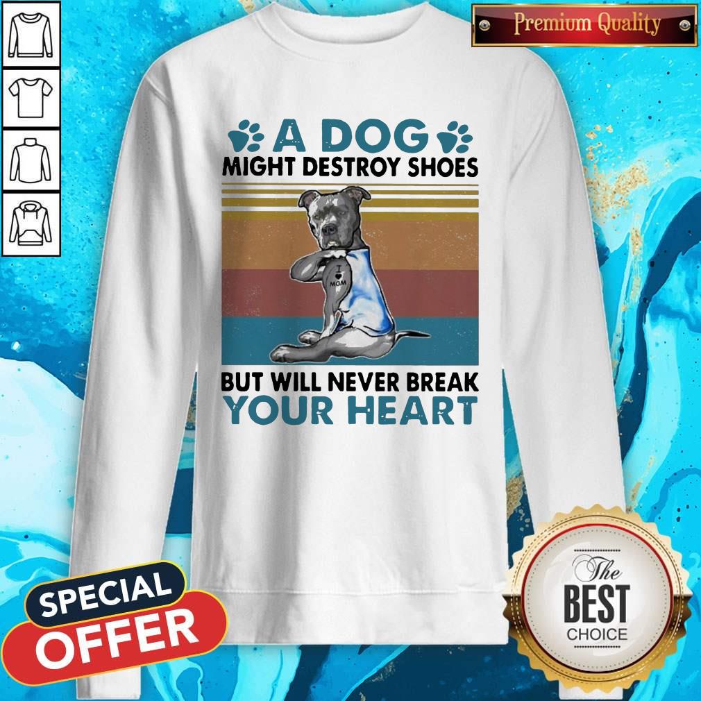 pit-bull-a-dog-might-destroy-shoes-but-will-never-break-your-heart-vintage-sweatshirt.jpg