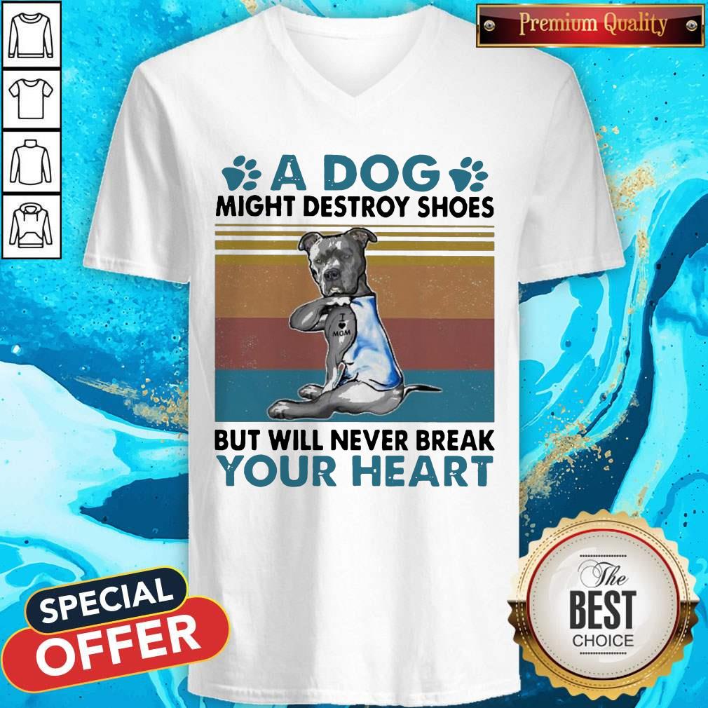 pit-bull-a-dog-might-destroy-shoes-but-will-never-break-your-heart-vintage-v-neck.jpg