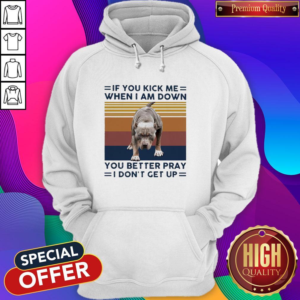 pitbull-if-you-kick-me-when-i-am-down-you-better-pray-i-dont-get-up-vintage-hoodie.jpg