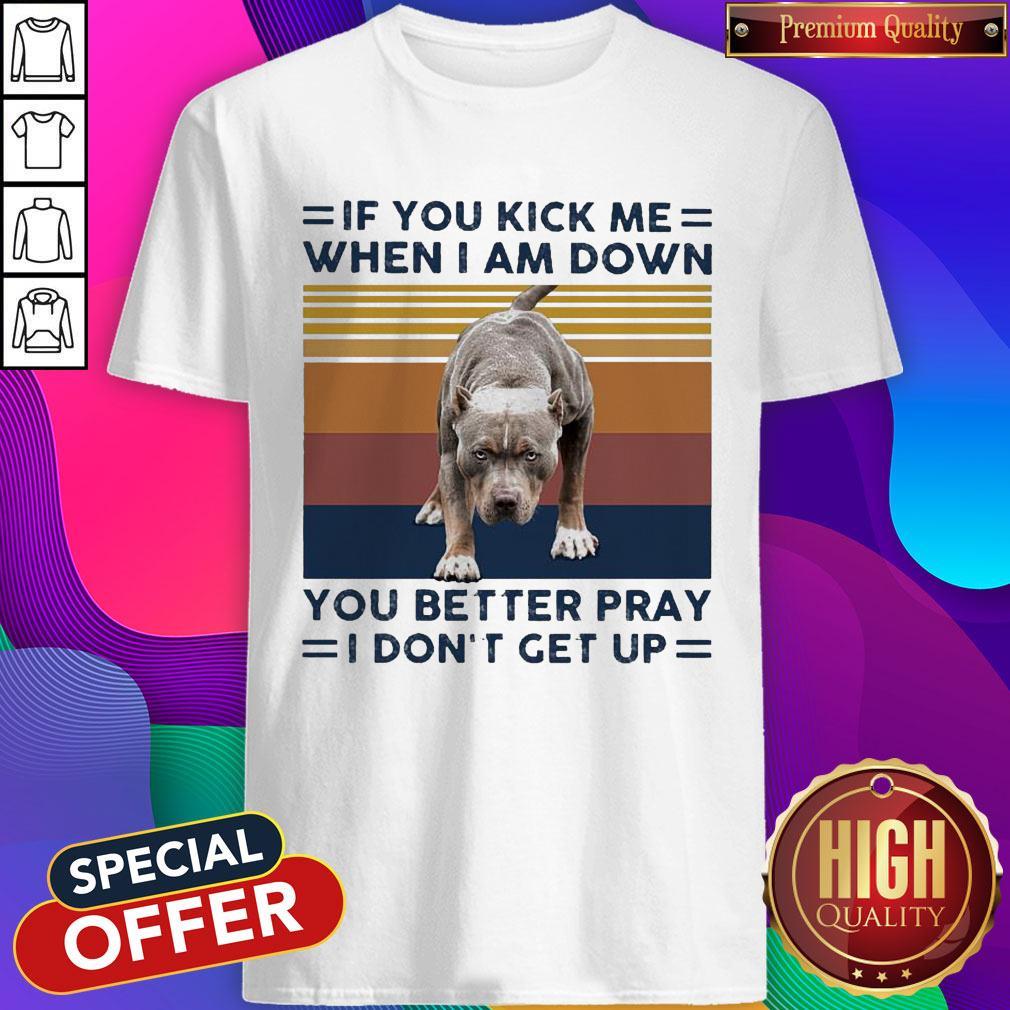 pitbull-if-you-kick-me-when-i-am-down-you-better-pray-i-dont-get-up-vintage-shirt.jpg