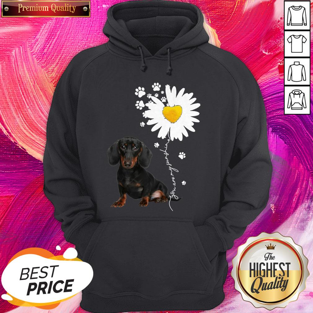 Premium I Have Dachshunds Chamomile Shirt