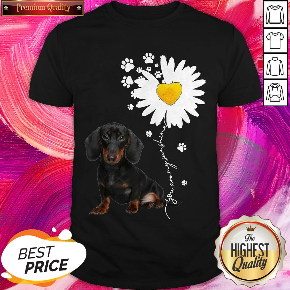 Premium I Have Dachshunds Chamomile Shirt