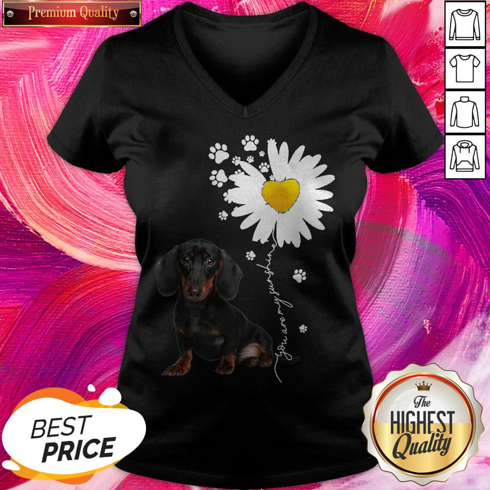 Premium I Have Dachshunds Chamomile Shirt