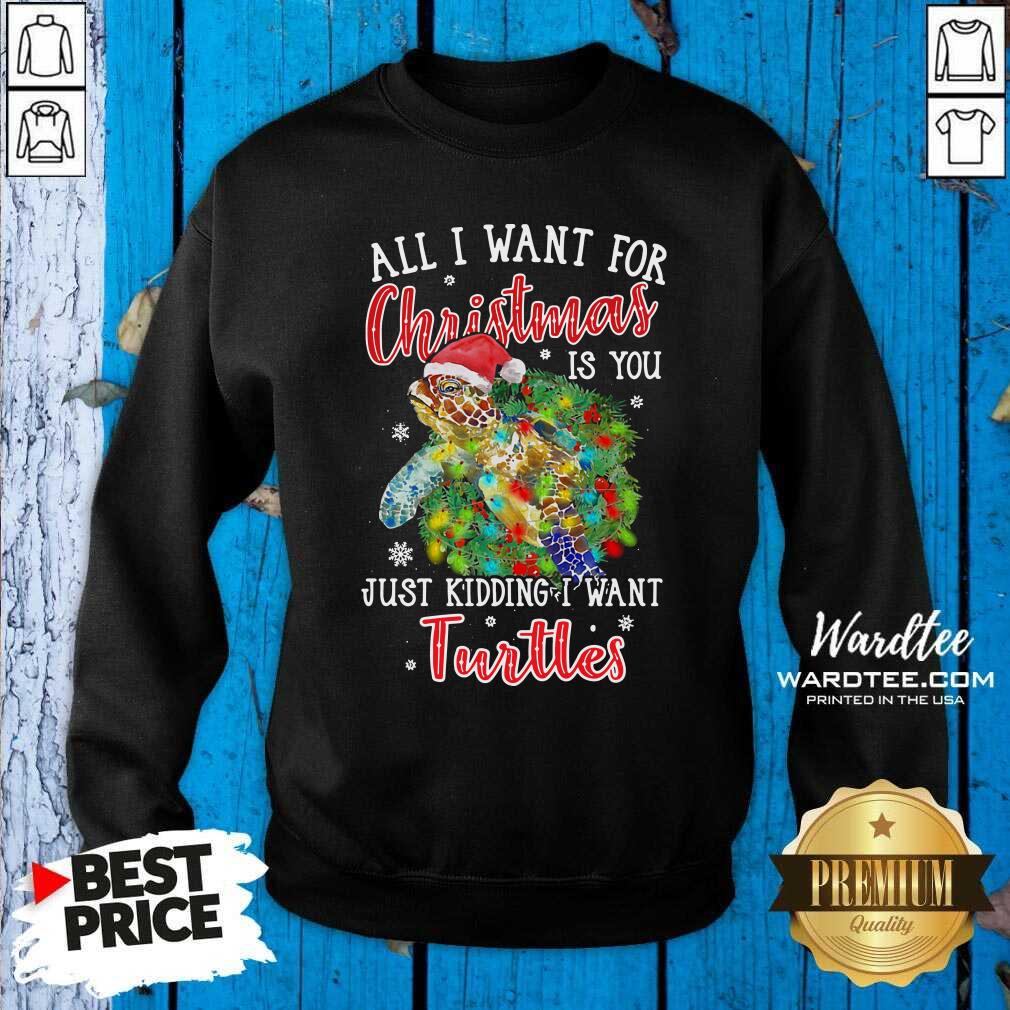 Pretty All I Want For Christmas Is You Just Kidding I Want Turtles Shirt